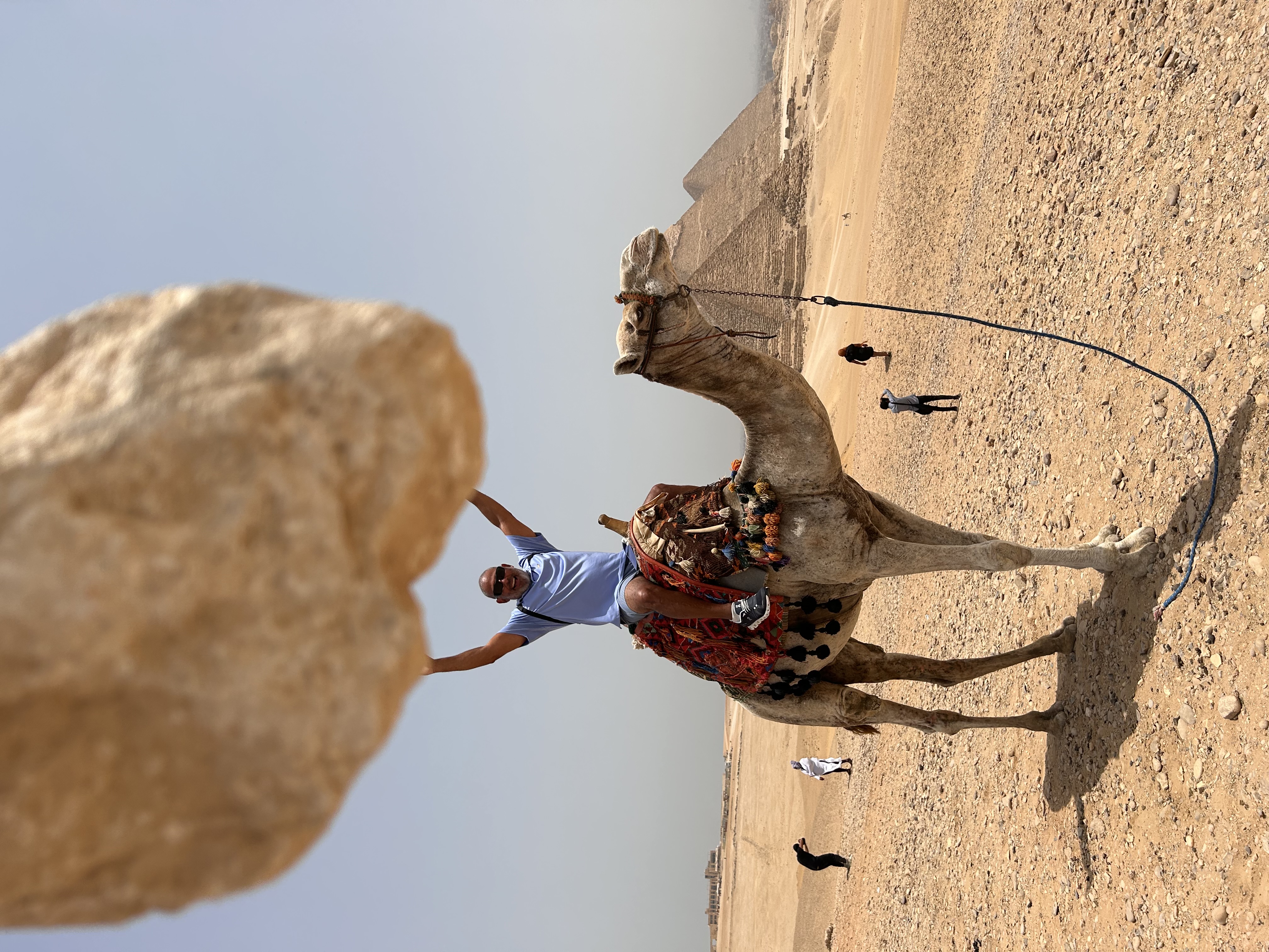 Hiram raising his arms on a camel at Giza as another camel leans into the camera
